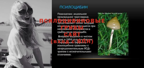 спайс Новодвинск