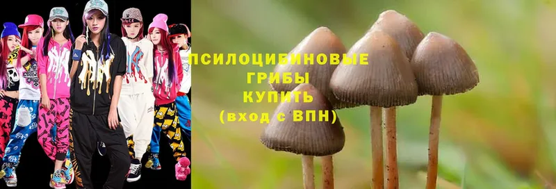 Псилоцибиновые грибы Cubensis  купить наркоту  Павловский Посад 