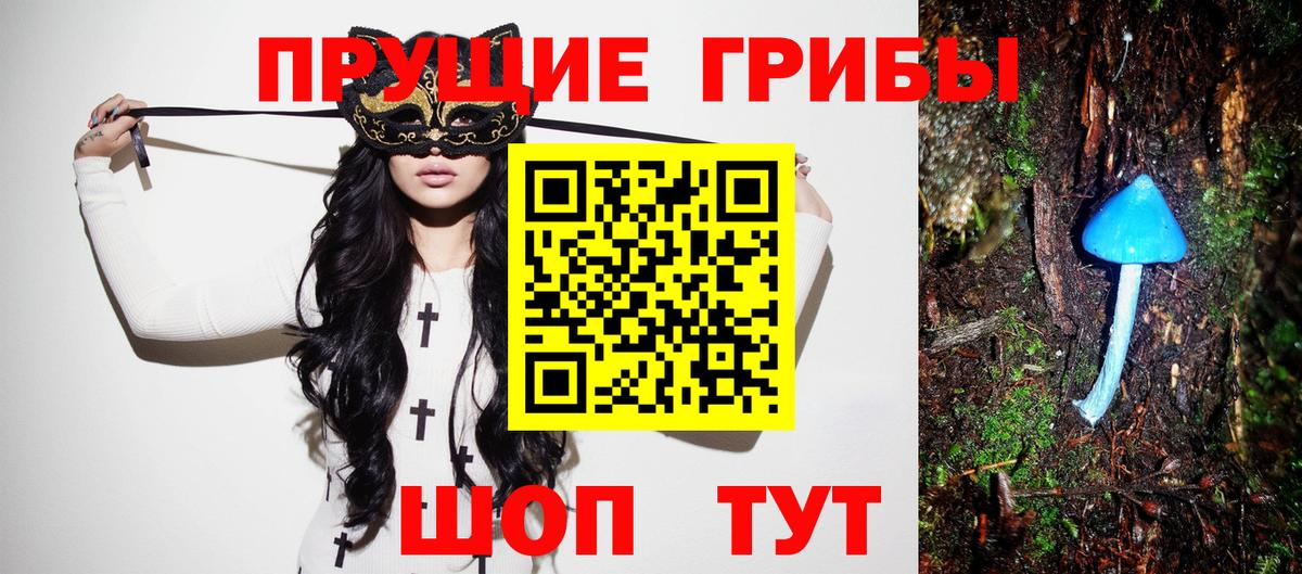 Галлюциногенные грибы мухоморы Павловский Посад