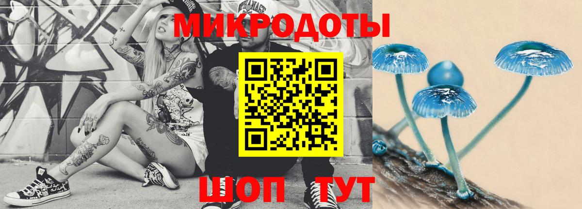 Псилоцибиновые грибы Psilocybe  Вход с VPN  Павловский Посад 