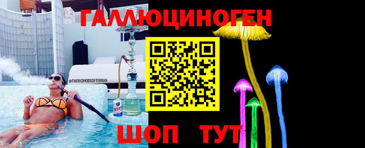 Галлюциногенные грибы Psilocybine cubensis Павловский Посад