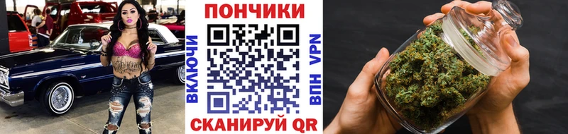 Шишки марихуана планчик Павловский Посад